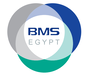 Jobs and Careers at BMS Egypt Egypt