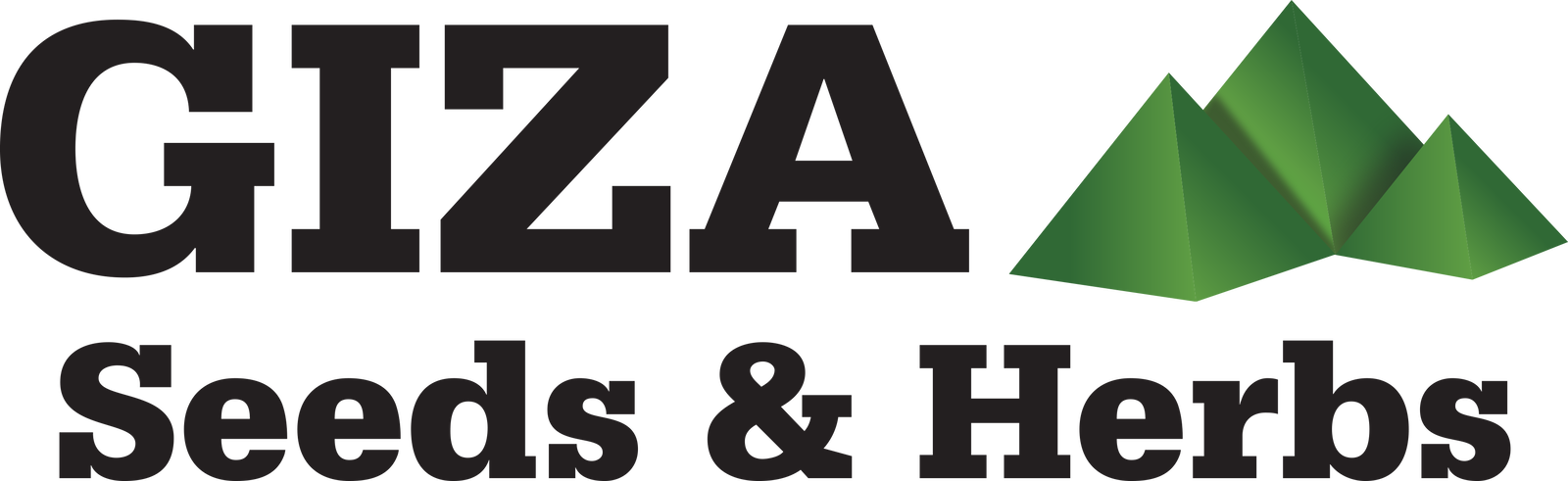 Jobs and Careers at Giza Seeds and Herbs, Egypt | WUZZUF