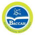 BACCAH Information Technology logo