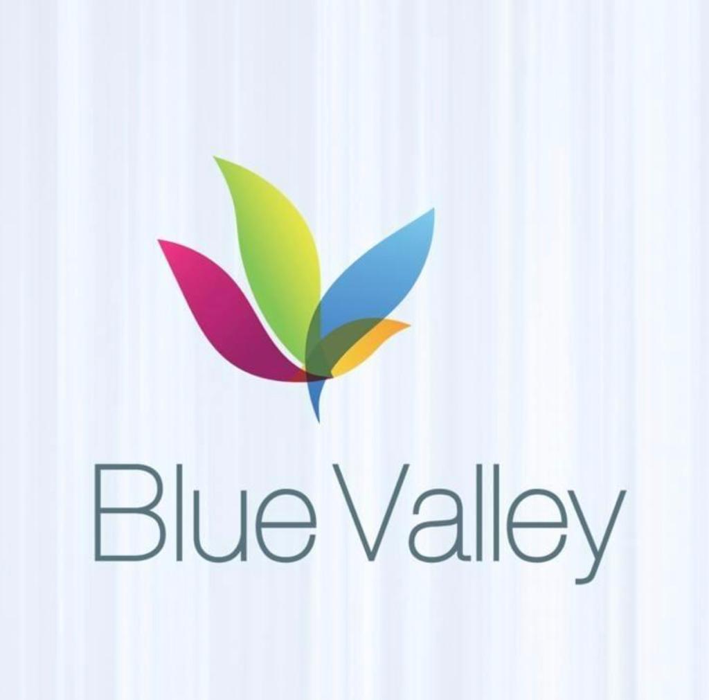 Jobs and Careers at Blue Valley Properties, Egypt WUZZUF