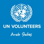 Jobs and Careers at UNV Arab States Egypt