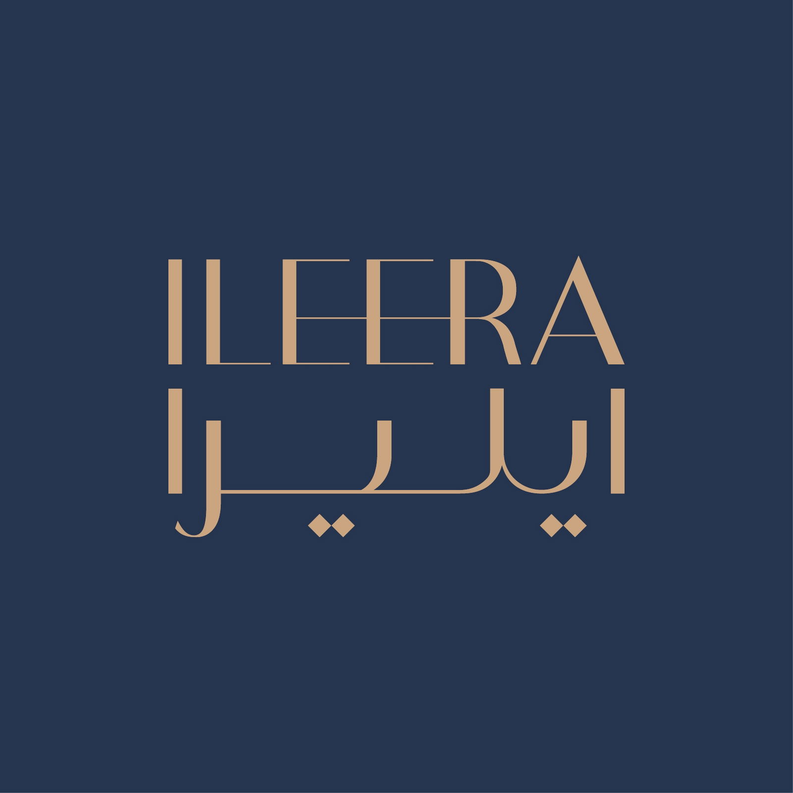 Jobs and careers at ileera in egypt join us today 