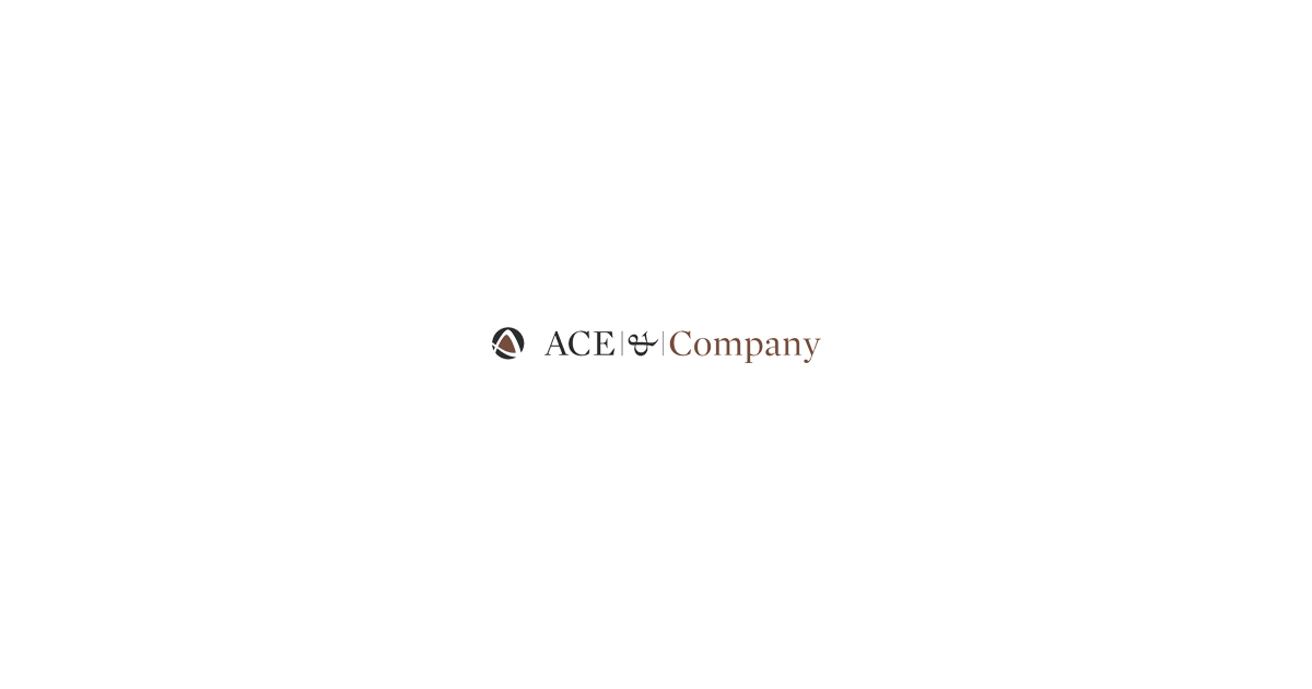 Jobs and Careers at ACE & Company in Egypt Join Us Today!