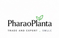 PharaoPlanta