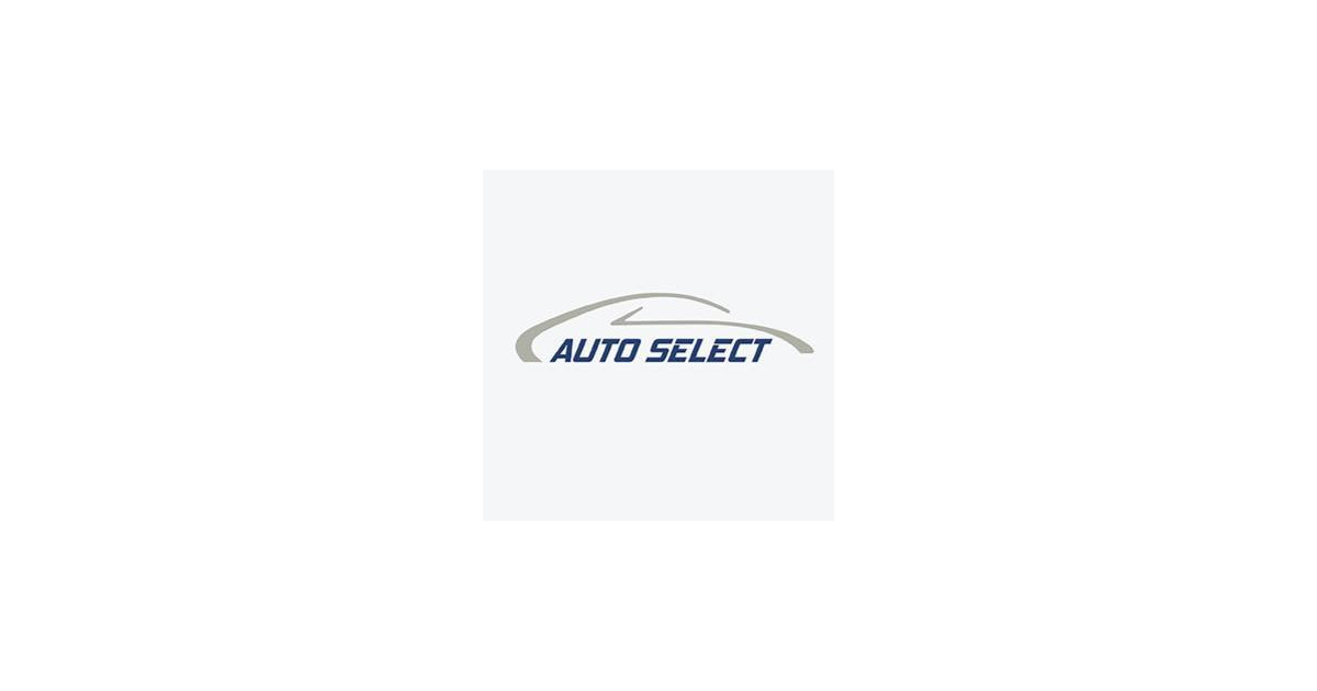 Jobs and Careers at Auto Select, Egypt WUZZUF