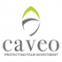 Caveo Financial Services logo