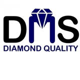 Jobs and Careers at D.M.S in Egypt | join today!