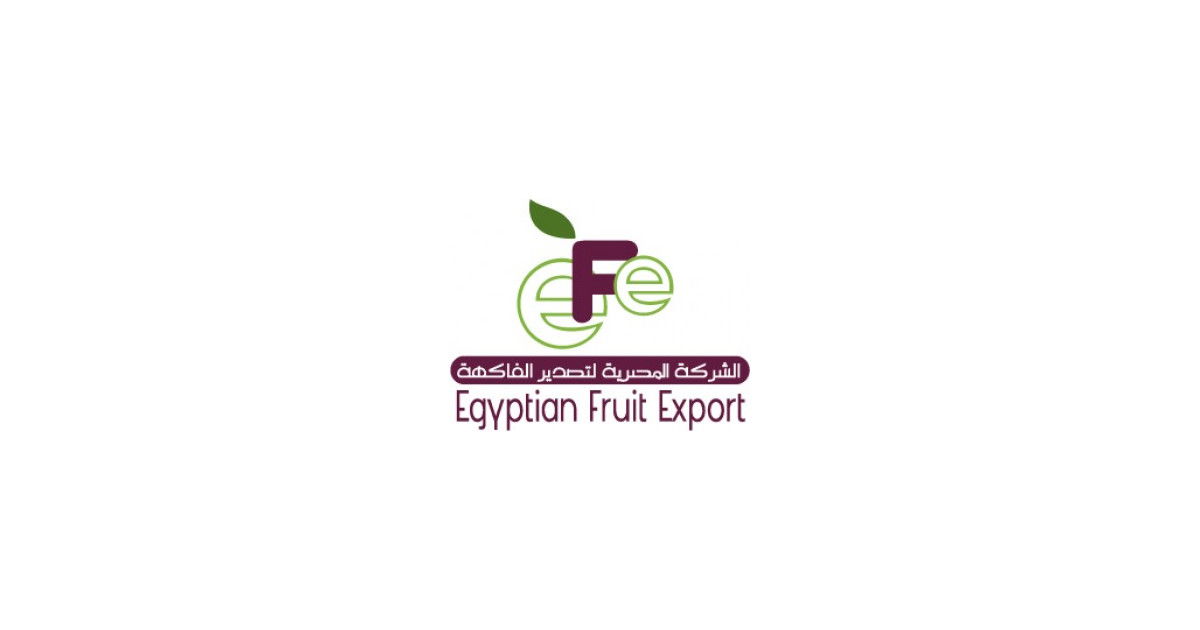 Jobs and Careers at Egypt Fruit Export, Egypt WUZZUF