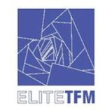 Company Logo Jobs and Careers at EliteTFM in Egypt | join today!