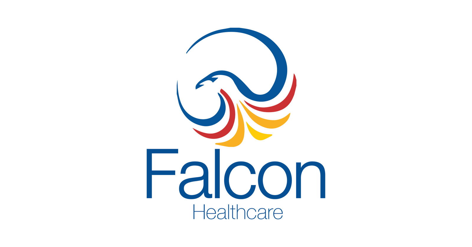 Jobs and Careers at Falcon healthcare, Egypt WUZZUF