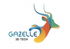 Gazelle 3D Tech logo