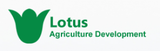 Jobs and Careers at Lotus Agriculture Development in Egypt | join today!