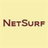 Jobs and Careers at NetSurf in Egypt | join today!
