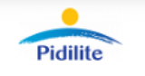 Jobs and Careers at Pidilite Industries Egypt in Egypt | join today!