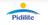 Jobs and Careers at Pidilite Industries Egypt in Egypt | join today!