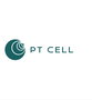 Jobs and Careers at Ptcell Group Egypt