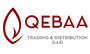 Jobs and Careers at Qebaa  Egypt