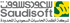  Saudisoft logo