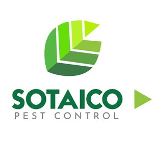 Sotaico