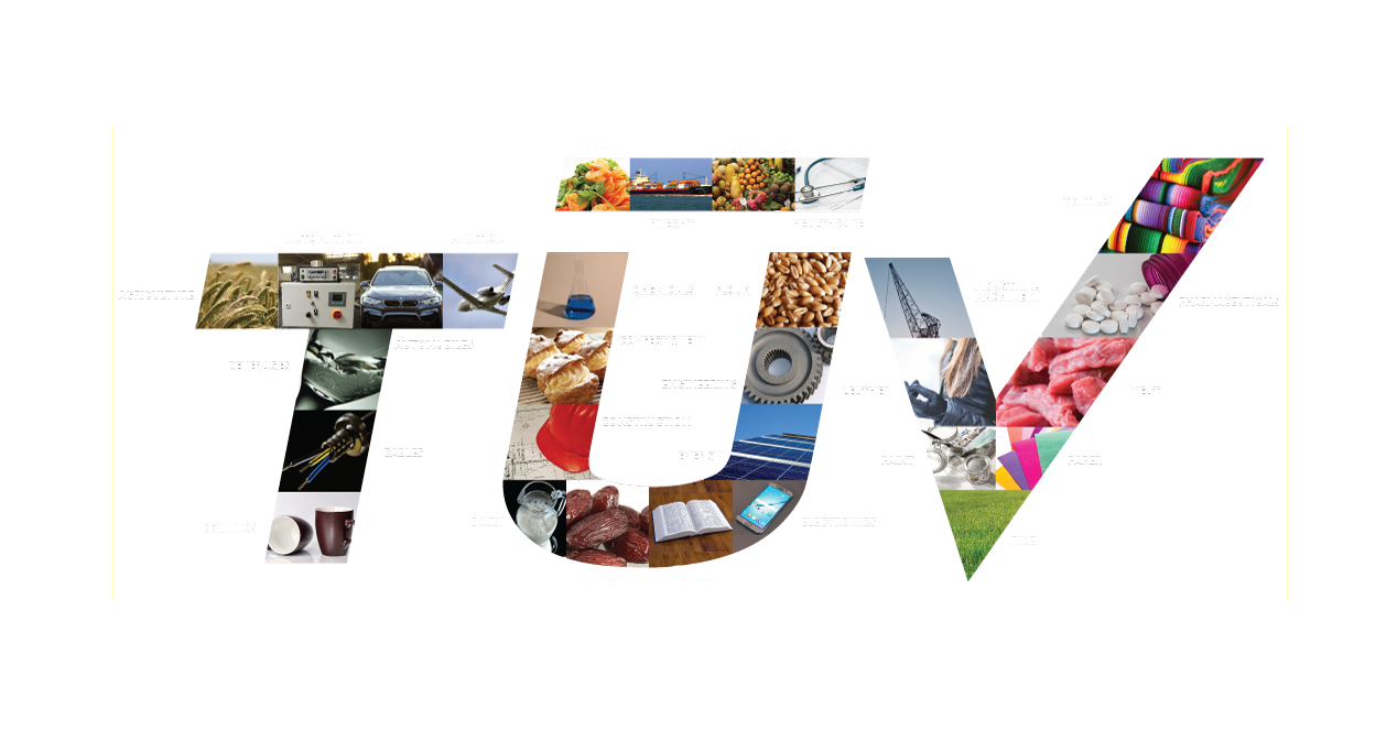 Jobs And Careers At Tuv Austria In Egypt Join Today