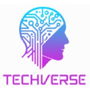 Jobs and Careers at TechVerseCorp Egypt