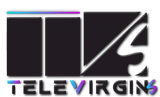 Company Logo Jobs and Careers at Televirgins in Egypt | join today!