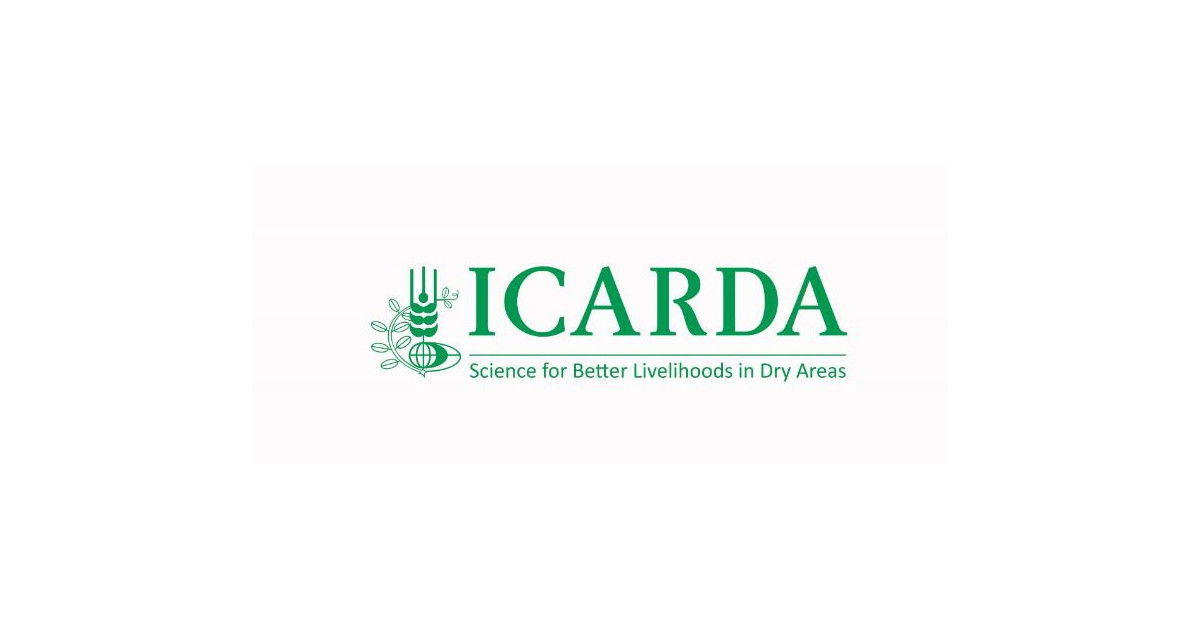 Jobs and Careers at The International Center for Agricultural Research