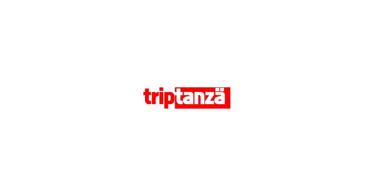 Triptanza Graphic Designer job at Triptanza in Heliopolis, Cairo – Apply on Wuzzuf