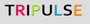 Jobs and Careers at Tripulse Travel Egypt