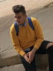 profile-img