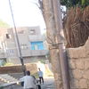 profile-img