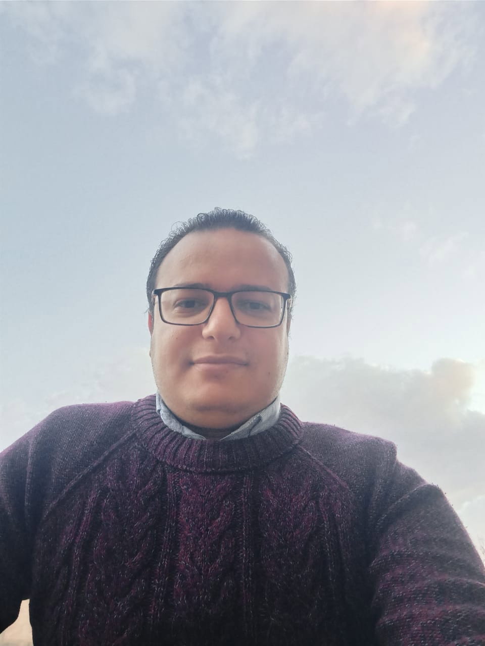 Abdullah Nasr – Digital Marketing Section Head at Marseilia | Profile