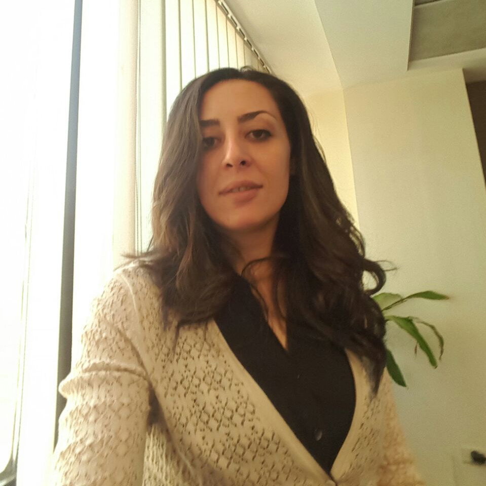 Nehal Abdel Aziz – Master Trainer & HR Consultant at American Chamber ...