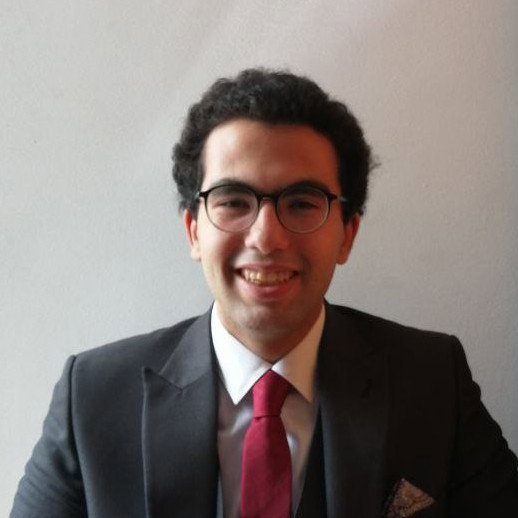 Abdullah El-Afifi’s Professional Profile on WUZZUF