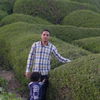 profile-img