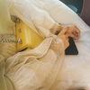 profile-img