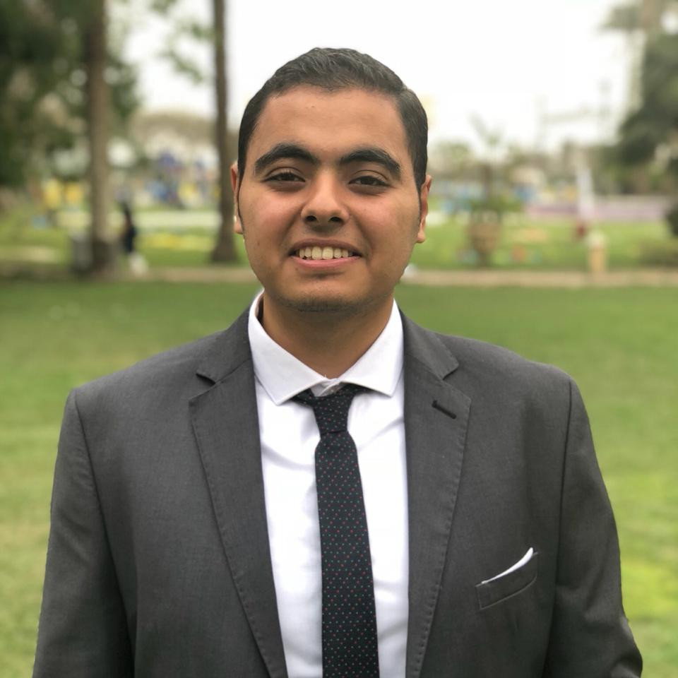 Mario Gayed – electrical engineer at force for electrical projects | Wuzzuf
